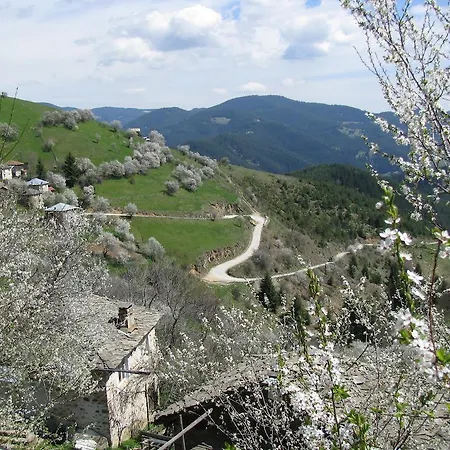 Hotel Zornica