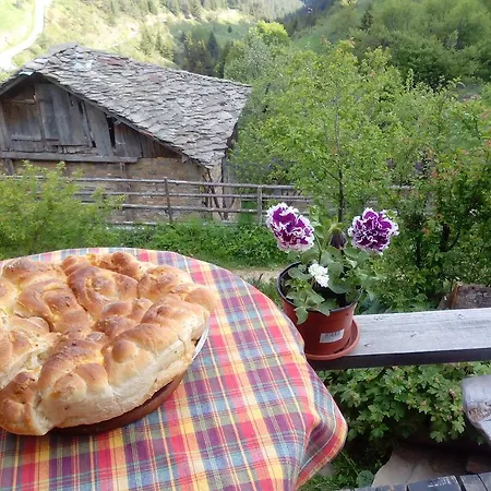 Hotel Zornica 3*
